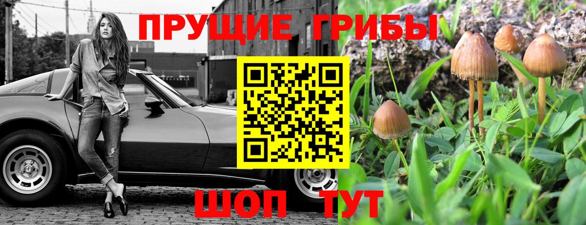 Псилоцибиновые грибы ЛСД  Вход с VPN  купить   Минусинск 
